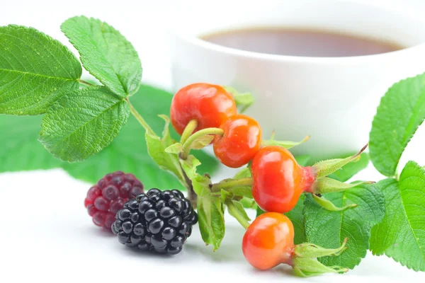 Filiżankę herbaty, Jeżyna, malina i dzikiej róży jagody z liści, — Zdjęcie stockowe
