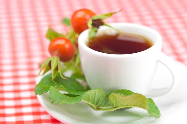 Чашка чаю і ягід шипшини з листям на однотонній тканині — стокове фото