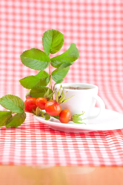 Cup of tea and rosehip berries with leaves on plaid fabric — Stock Photo, Image