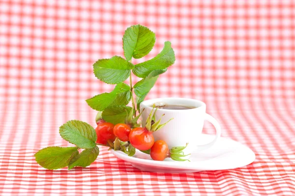 Kopje thee en rozenbottels bessen met bladeren op geruite stof — Stockfoto