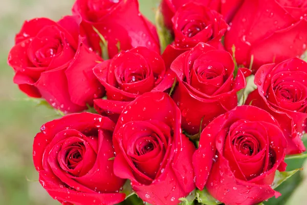 Красивый букет красных роз с каплями воды — стоковое фото