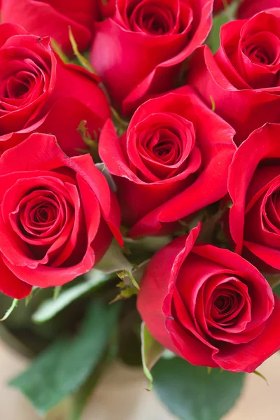 Υπόβαθρο του μια όμορφη ανθοδέσμη των κόκκινων τριαντάφυλλων — Φωτογραφία Αρχείου
