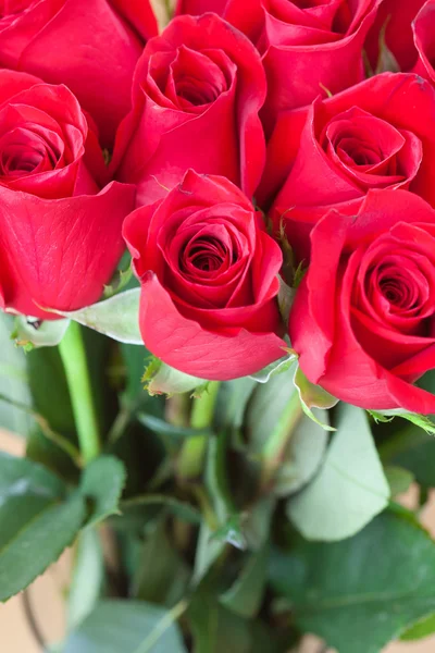 Υπόβαθρο του μια όμορφη ανθοδέσμη των κόκκινων τριαντάφυλλων — Φωτογραφία Αρχείου