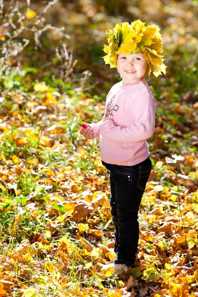 Vacker liten flicka i en krans av lönn lämnar hösten fore — Stockfoto