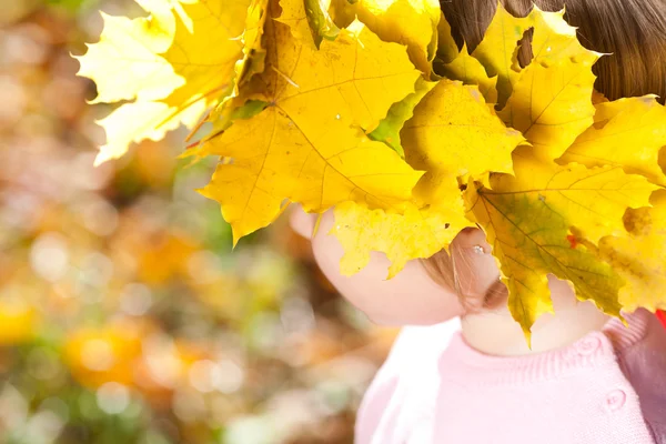 漂亮的小女孩在一个花圈枫叶叶子在秋季前 — 图库照片