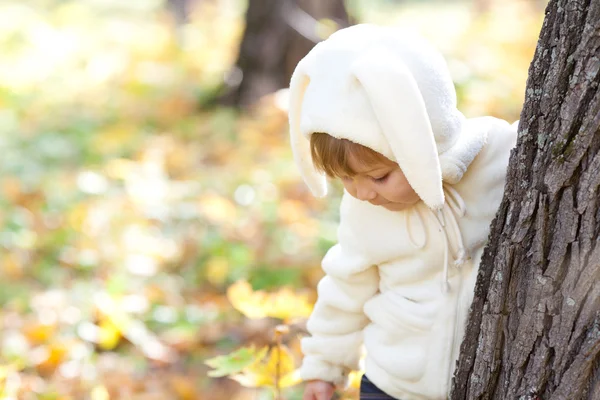 Όμορφο κοριτσάκι στο κοστούμι λαγουδάκι στο φθινόπωρο δάσος — Φωτογραφία Αρχείου