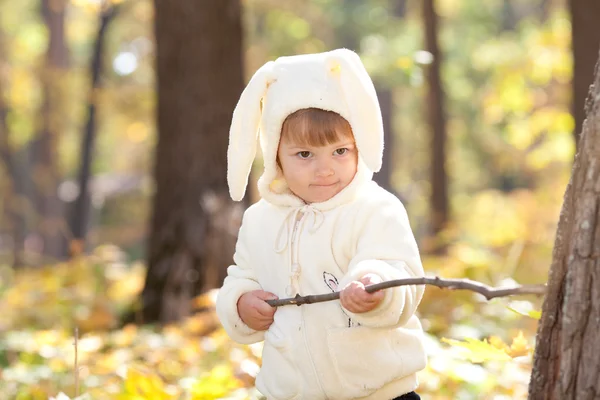 Vacker liten flicka i kostym kanin i skogen höst — Stockfoto