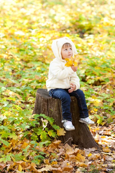 Красивая маленькая девочка в костюме кролика в осеннем лесу — стоковое фото