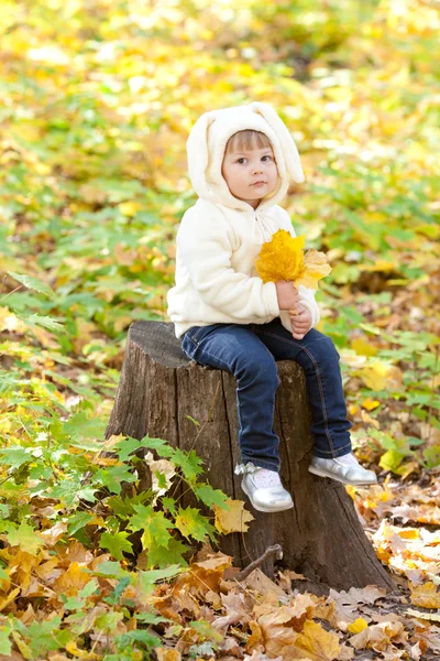 Vacker liten flicka i kostym kanin i skogen höst — Stockfoto