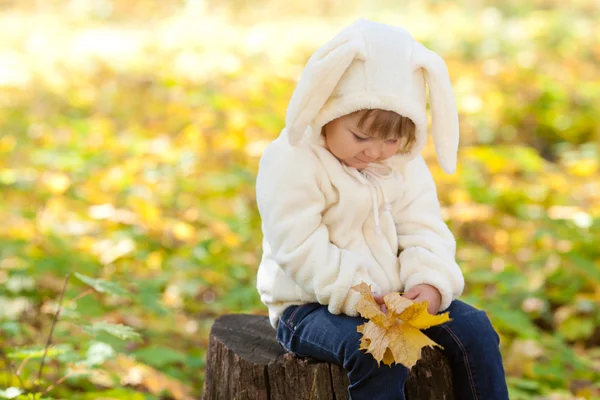 Gyönyörű kislány ruha nyuszi az őszi erdő — Stock Fotó