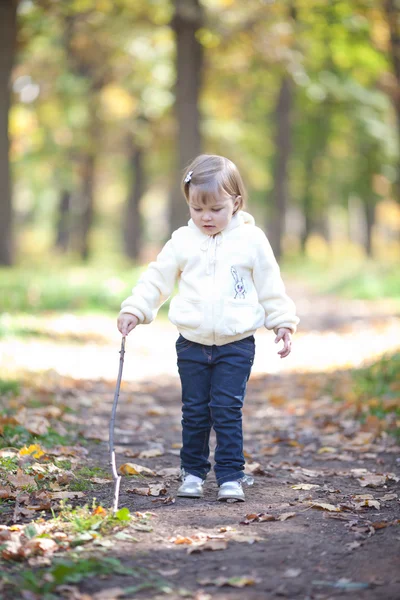 Linda menina com um pau na floresta de outono — Fotografia de Stock