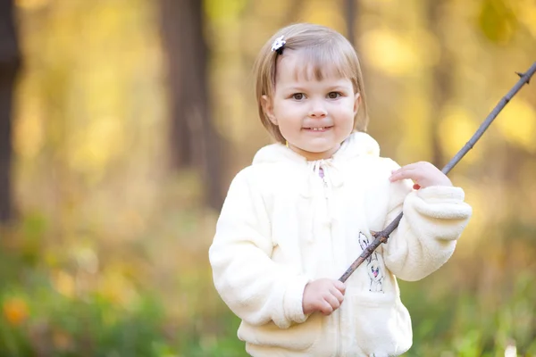 Vacker liten flicka med en pinne på hösten skogen — Stockfoto