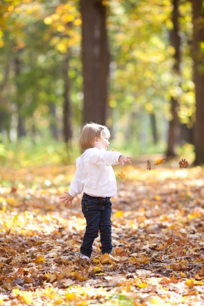 Красива дівчинка кидає листя в лісі — стокове фото