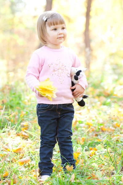 Vacker liten flicka på hösten skogen — Stockfoto