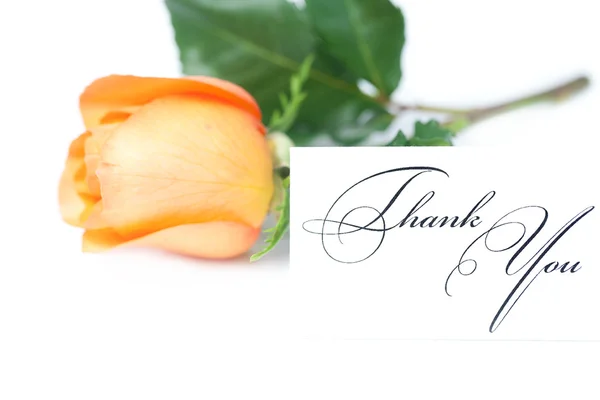 Красива помаранчева троянда і листівка зі словами дякую Isolat — стокове фото