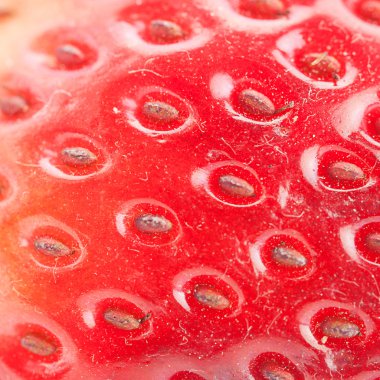 Makroyu arka planda büyük kırmızı çilek