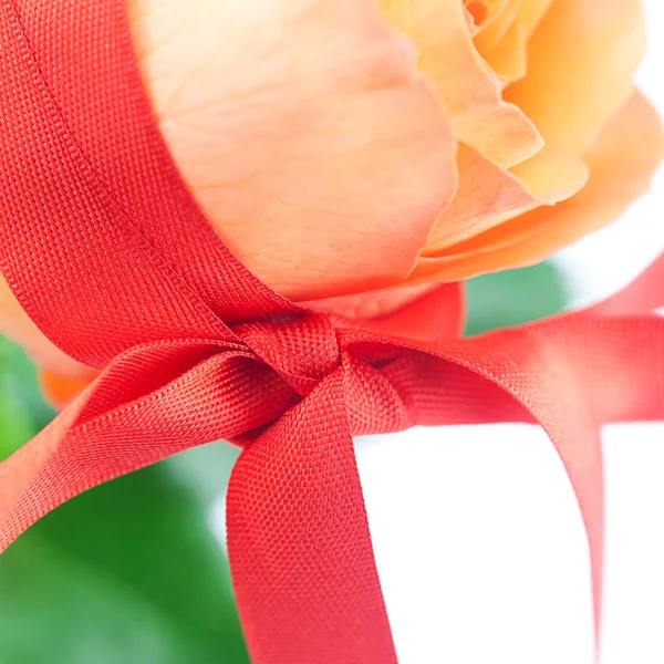 Beautiful orange rosewith red ribbon isolated on white — Stock Photo, Image