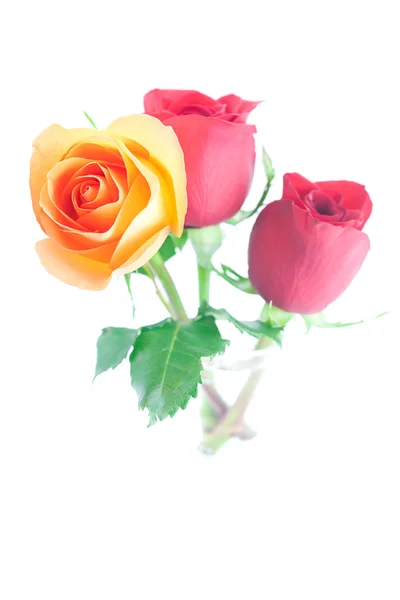 Μπουκέτο από πολύχρωμα τριαντάφυλλα που απομονώνονται σε λευκό — Φωτογραφία Αρχείου