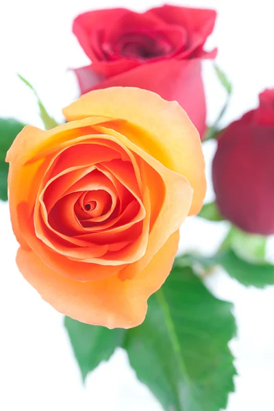 Buquê de rosas coloridas isoladas em branco — Fotografia de Stock