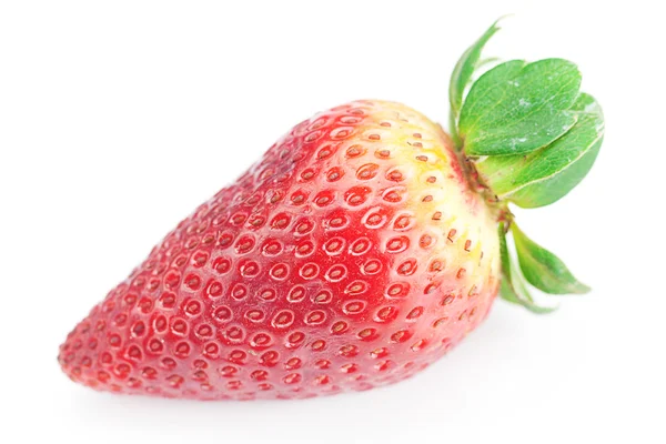 Grande fraise rouge isolée sur blanc — Photo