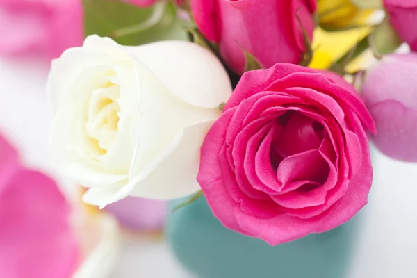 Bukett med fargerike roser i vaser og kronblader – stockfoto