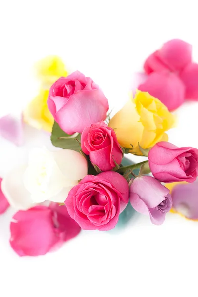 Bouquet of colorful roses in vase and petals — Stock Photo, Image