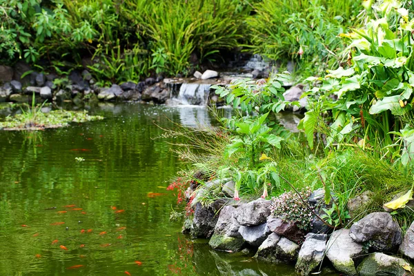 Estanque de peces y árboles verdes alrededor —  Fotos de Stock