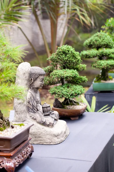 Exposición de bonsáis en un jardín botánico — Foto de Stock