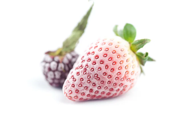 Velké červené jahody a blackberry v mrazu izolovaných na bílém — Stock fotografie