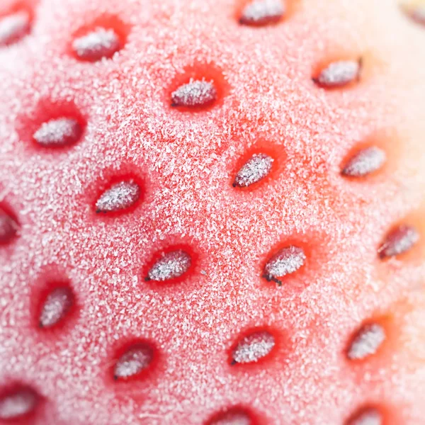 Macro background of big red strawberry in frost — Stock Photo, Image