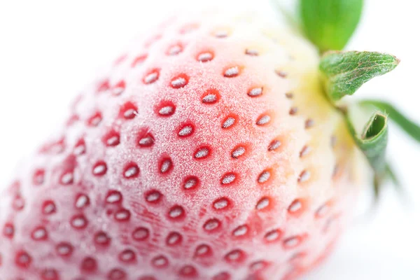 Grande fragola rossa in gelo isolato su bianco — Foto Stock