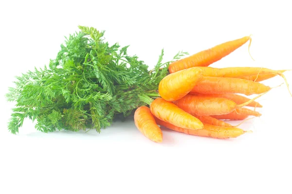 Bunch of carrots with green leaves isolated on white — Stock Photo, Image