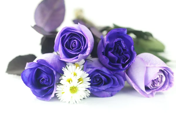 Bouquet de belles roses violettes et camomilles — Photo