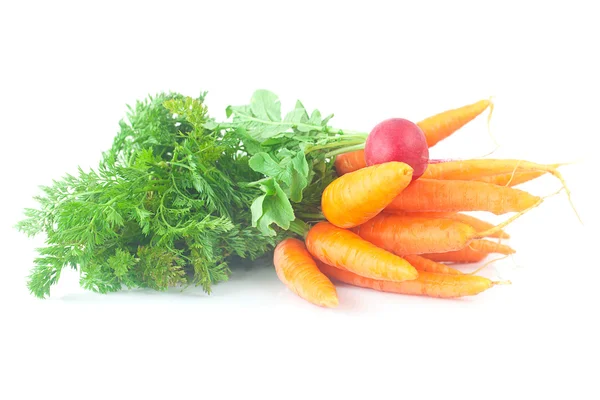 Bunch of carrots with green leaves and radish isolated on white — Stock Photo, Image