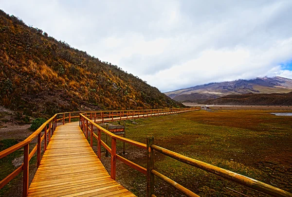 木桥与火山科托帕希观 — 图库照片