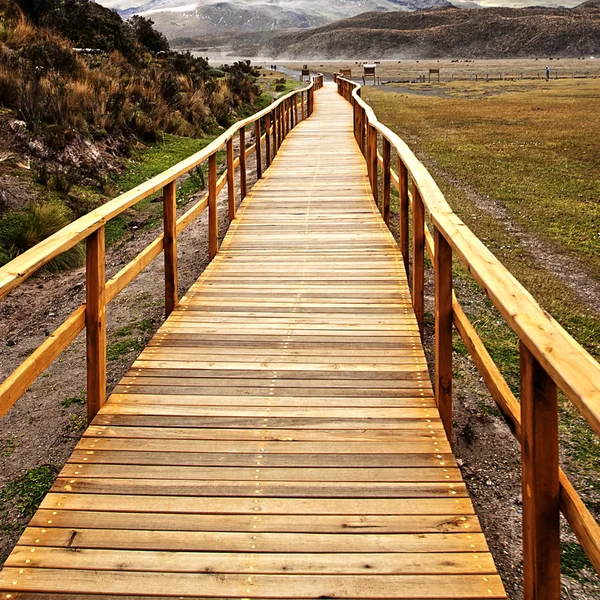 Houten brug in de provincie cotopaxi nationaal park — Stockfoto