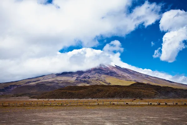 Volcán Cotopaxi en el fondo del cielo azul y las nubes —  Fotos de Stock