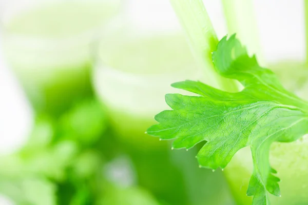 Celery and three glasses with celery juice isolated on white — Stock Photo, Image