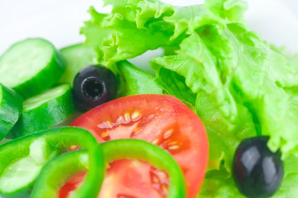 Black olive,lettuce, tomato, cucumber and pepper in a bowl — Stock Photo, Image