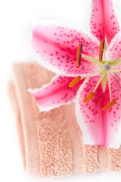 Schöne Lilie in Vase, Handtuch und Kosmetikbehältern — Stockfoto