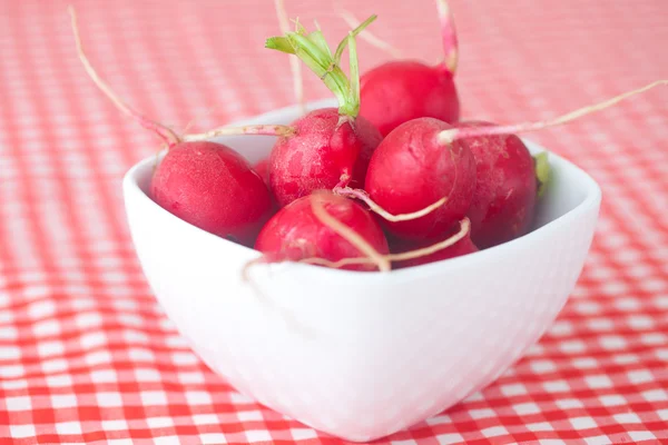 Rädisa i skål på rutig tyg — Stockfoto