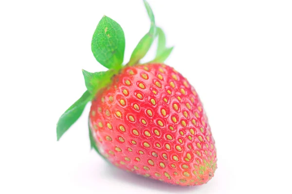 Belle fraise mûre isolée sur blanc — Photo
