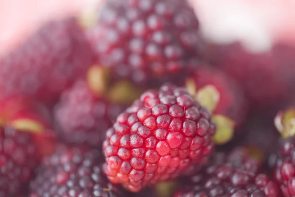 Moras en placa sobre tela a cuadros —  Fotos de Stock