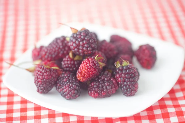 Moras en placa sobre tela a cuadros —  Fotos de Stock