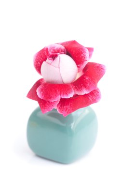 sıradışı güzel kırmızı gül vazoda