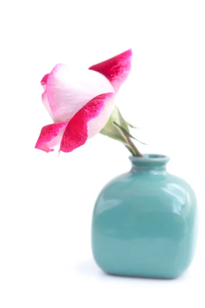 Ungewöhnlich schöne rote Rose in einer Vase — Stockfoto