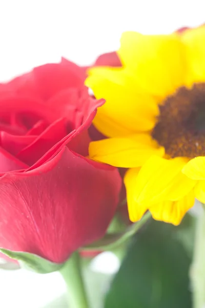 Bukett av røde roser og solsikke i en vase – stockfoto
