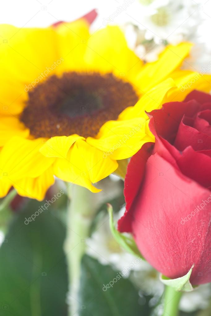 bouquet of red roses and sunflower in a vase — Stock Photo