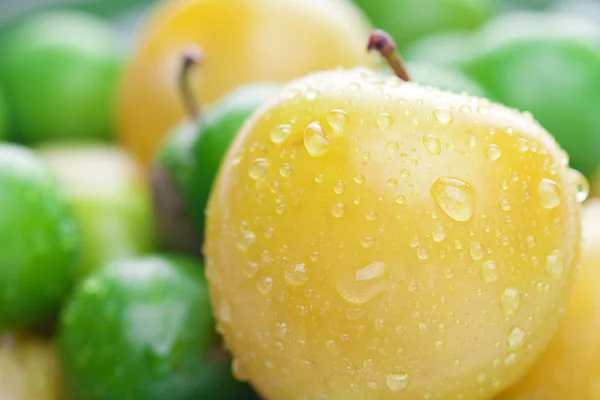 Bakgrunden gröna och gula plommon — Stockfoto