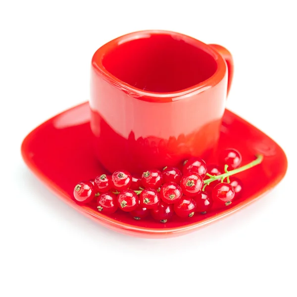 Branch of red currants and red cup with a plate isolated on whit — Stock Photo, Image